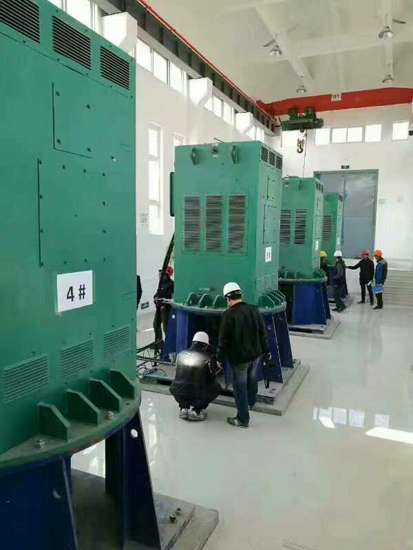 Y5003-8某污水处理厂使用我厂的立式高压电机安装现场