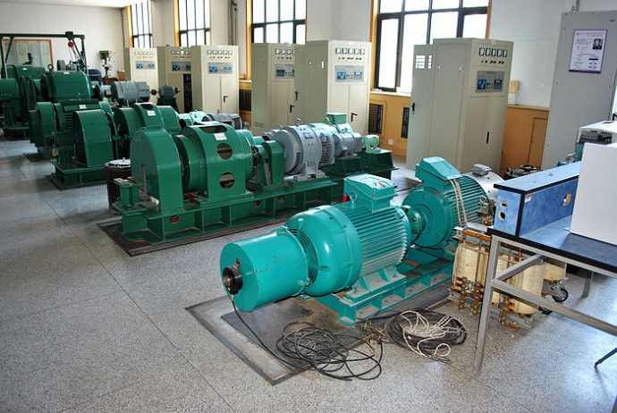 Y5003-8某热电厂使用我厂的YKK高压电机提供动力