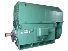 Y5003-8YKK系列高压电机