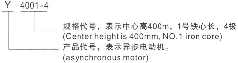 西安泰富西玛Y系列(H355-1000)高压Y5003-8三相异步电机型号说明